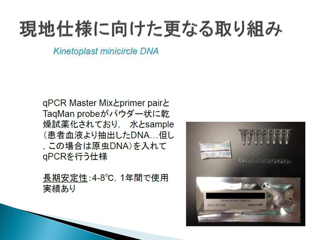 予備調査の結果を元に、本プロジェクト現地仕様のためのRealTimePCR用試薬の特別調整を進めている
